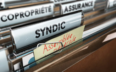 Faute du syndic et action en justice