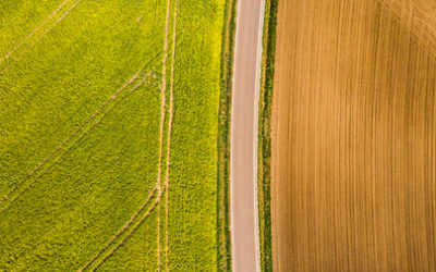 Bail rural, cession intrafamiliale et agrément